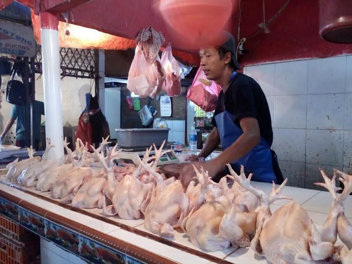 pedagang-ayam-potong