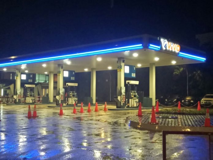 vivo