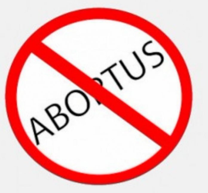 bortus