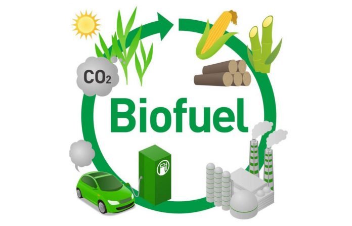 pros-cons-of-biofuel-e1511693099982