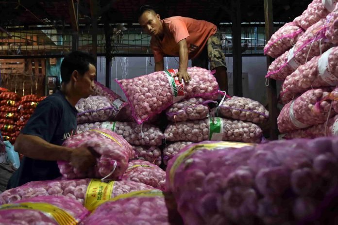 bawang putih