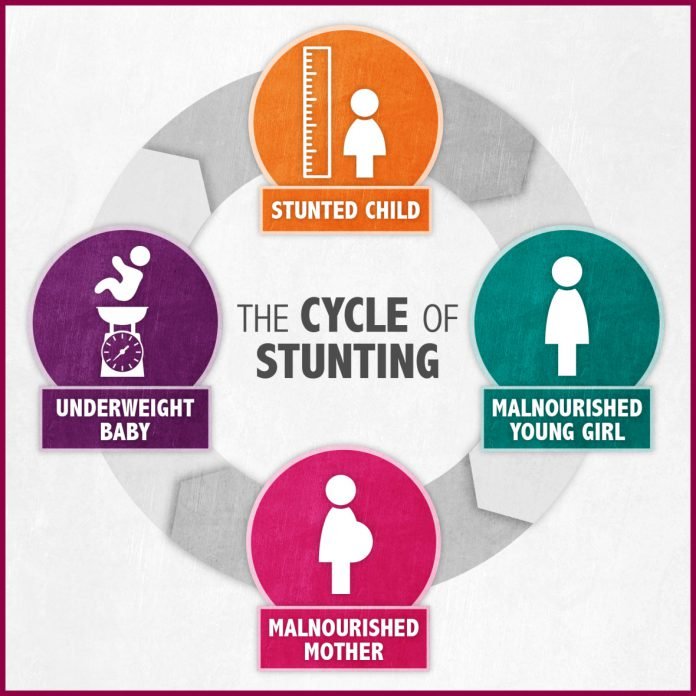 concern-Stunting-Cycle-1180x1180